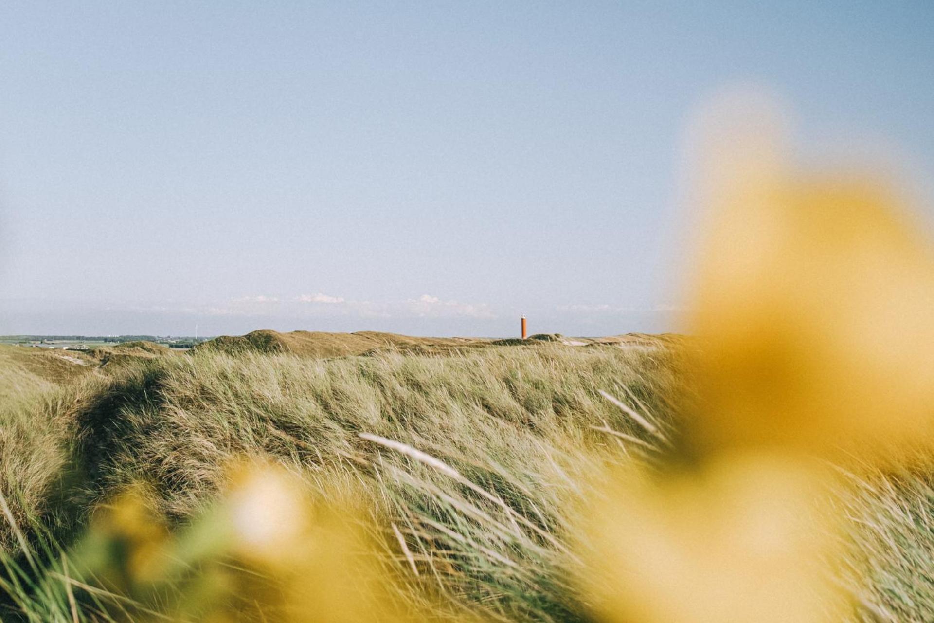 De Duintuin - In De Duinen, Groote Keeten Aan Zee Callantsoog Buitenkant foto