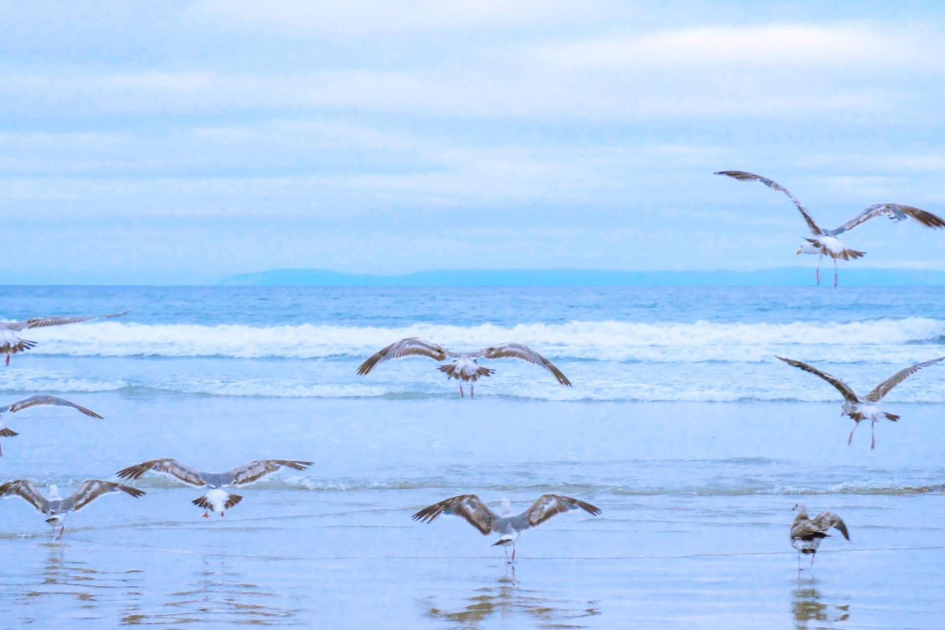 De Duintuin - In De Duinen, Groote Keeten Aan Zee Callantsoog Buitenkant foto