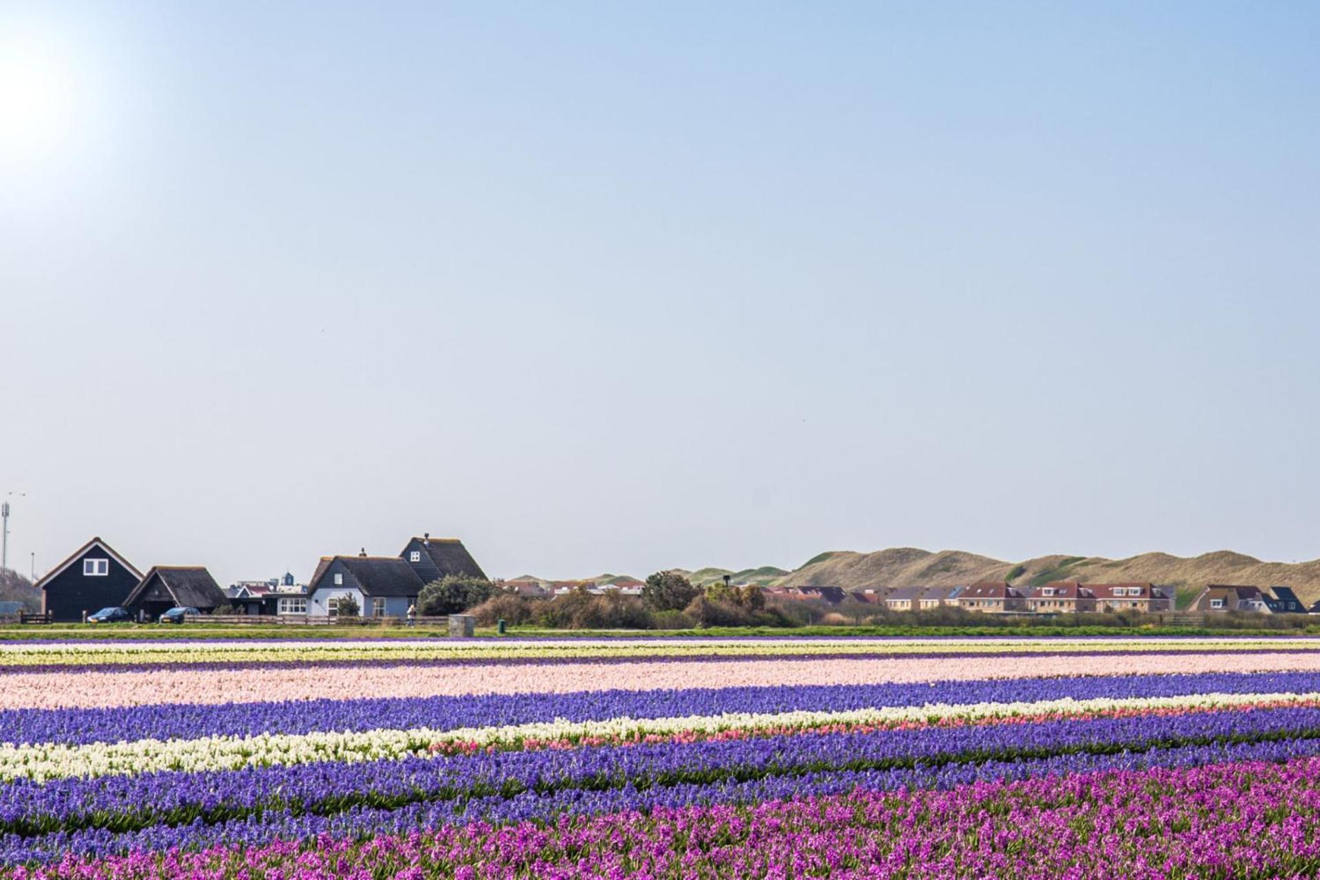 De Duintuin - In De Duinen, Groote Keeten Aan Zee Callantsoog Buitenkant foto
